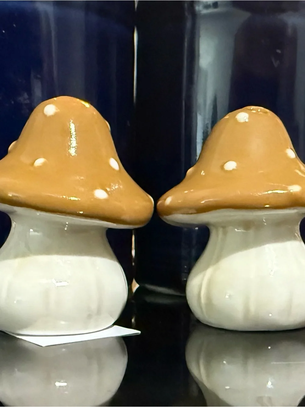 Mini mushroom salt and pepper shakers super cute nwt